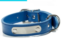 Personalisiertes Hundehalsband - Haustierzubehör