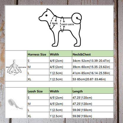 Personalized Engraved Pet Collar for Cocker Spaniel