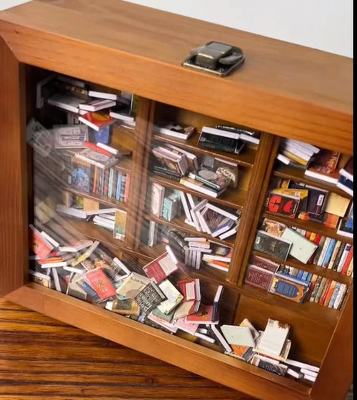 Anxiety Bookshelf Desk Toy