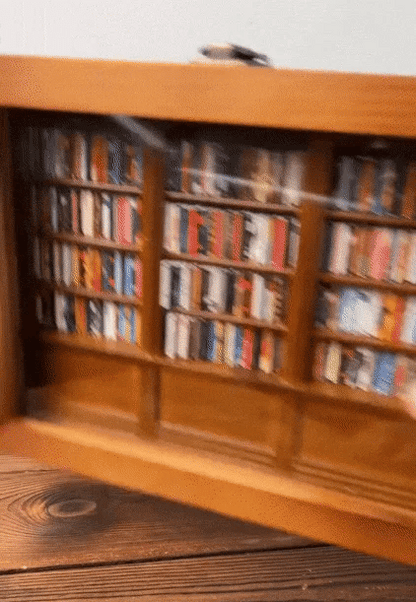 Anxiety Bookshelf Desk Toy